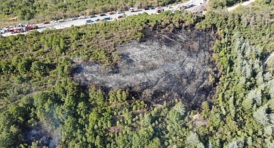 İzmit’te çıkan orman yangını kısa sürede söndürüldü