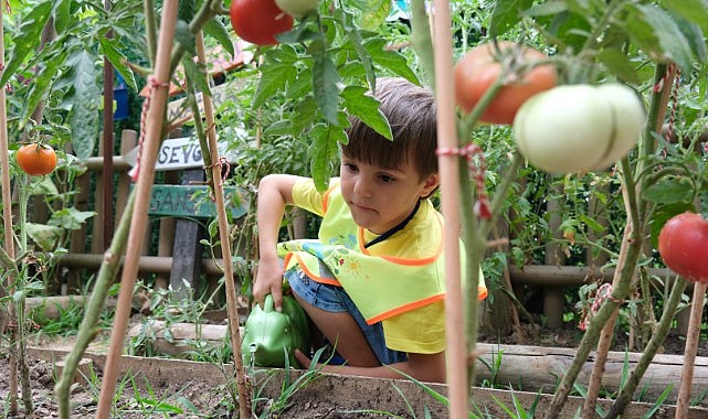 Lokomotif Çocuk Köyü’nde hasat sevinci yaşandı