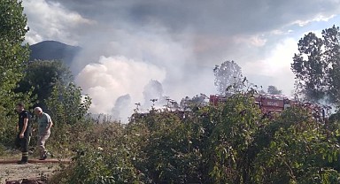 Sazlık alanda çıkan yangın korkuttu