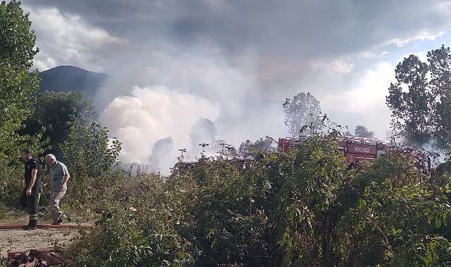 Sazlık alanda çıkan yangın korkuttu