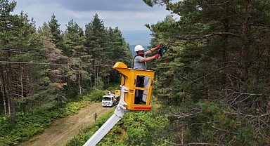 SEDAŞ, orman yangınlarına karşı dronlu denetimi artırdı