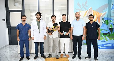 Tedavisi tamamlanan Zift, ömürlük yuvasına kavuştu