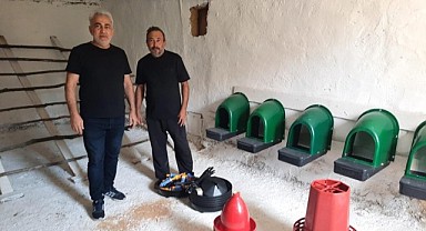 Yüzde 50 hibeli 15 bin yerli tavuk verilecek