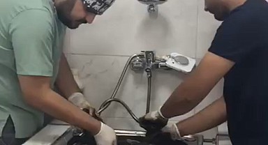 Zift, rehabilitasyon merkezinde yaşama tutundu