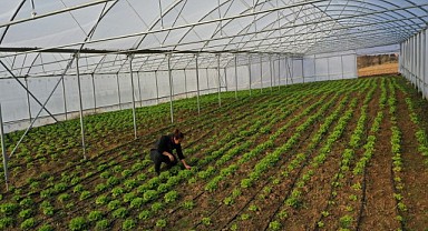 207 çiftçiye yüzde 50 hibeli modern sera teslim edilecek