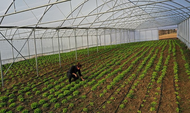207 çiftçiye yüzde 50 hibeli modern sera teslim edilecek