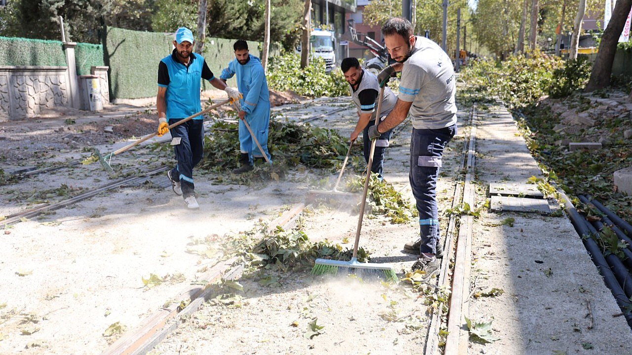 Alikahya Tramvay Hattı’nda ağaçlar budanıyor