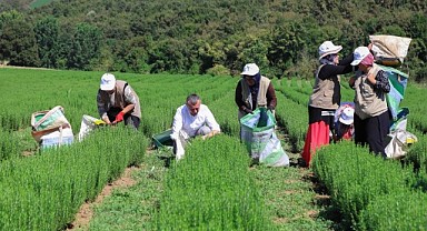 Büyükşehir’in destekleri tarıma can oldu