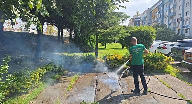 Büyükşehir, vektörlerle mücadeleyi sürdürüyor