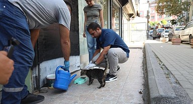 Darıca’da sokak hayvanları unutulmuyor