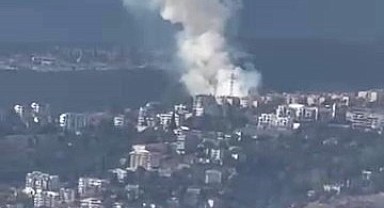 İzmit'te ormanlık alanda yangın çıktı