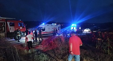 Kestiği ağacın altında kaldı! Canından oldu