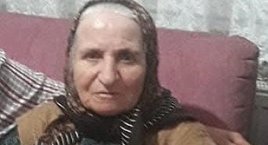 Otomobilin çarptığı yaşlı kadın hayatını kaybetti