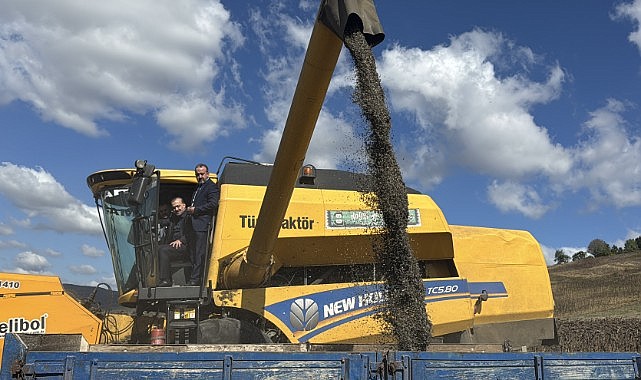 TAKE Projesi’nde ayçiçeği hasadı yapıldı