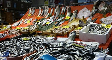 Balık fiyatları düştü! Tezgahlarda bolluk var