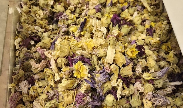 Havalar soğudu, Kocaeliler doğal ürünlere yöneldi