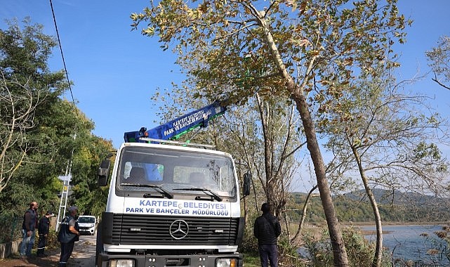 Kartepe’de ağaç budama çalışaması başladı