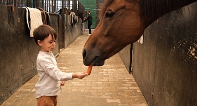 Minikler, atları yakından tanıdı