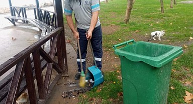 Park ve bahçeler temizleniyor
