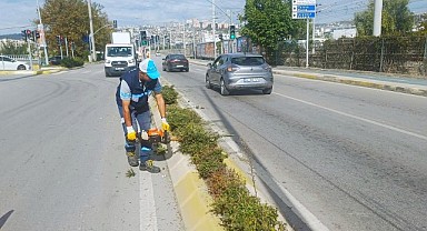 Salim Dervişoğlu Caddesi’nde sonbahar budaması