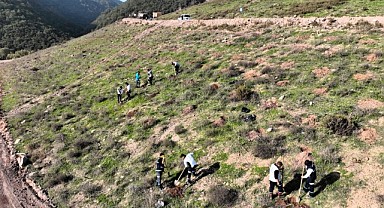 3 bin 300 Toros sediri toprakla buluşacak