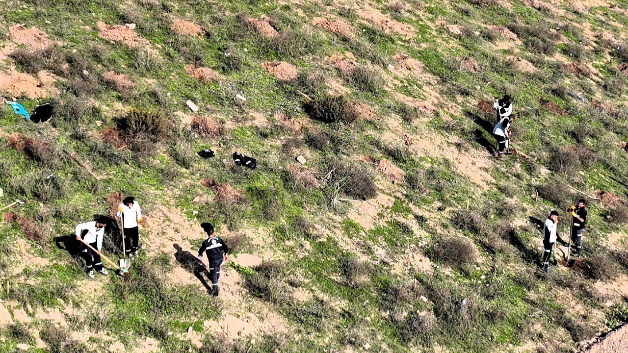 3 bin 300 Toros sediri toprakla buluşacak
