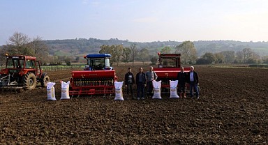 Bin 450 ton hibeli tohum toprakla buluştu!