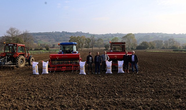 Bin 450 ton hibeli tohum toprakla buluştu!