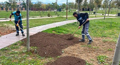Darıca Millet Bahçesi’nde bakım çalışmaları gerçekleştiriliyor  