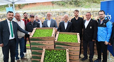 Gebze'de binlerce sebze fidesi üreticiye dağıtıldı