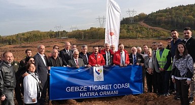 Hisarcıklıoğlu GTO Hatıra Ormanı’na fidan dikti