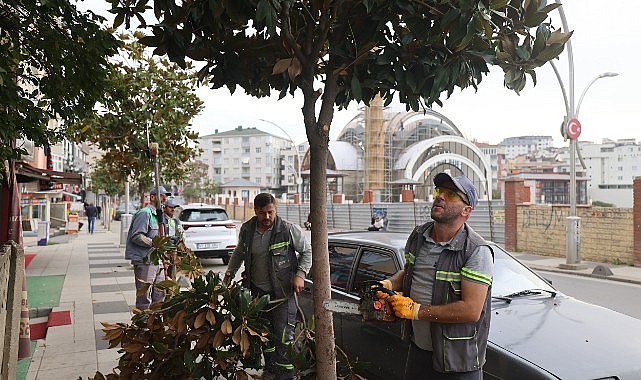 Mevsimlik budama çalışmaları başladı