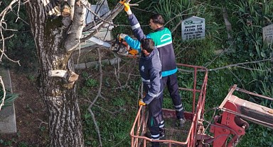 Başiskele’de budanan dallar yakacak oluyor