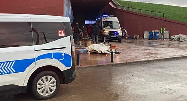 Boş akvaryuma düşen işçi yaralandı