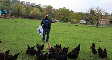 Büyükşehir’in hibeli tavuk projesi üreticiye nefes oldu