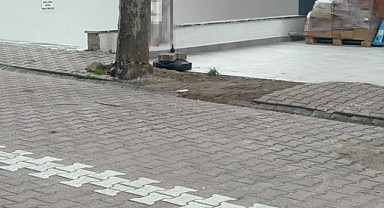 Çöpe atacağı poşette servet buldu!