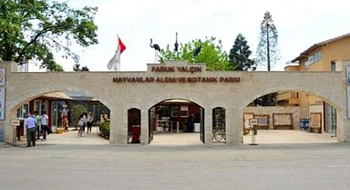 Faruk Yalçın Hayvanat Bahçesi ziyarete kapatıldı!