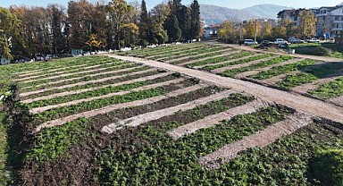 Gölcük’e yeni mezarlık alanları açıldı