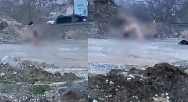 Köprü altında soyunan vatandaş ekipleri harekete geçirdi!