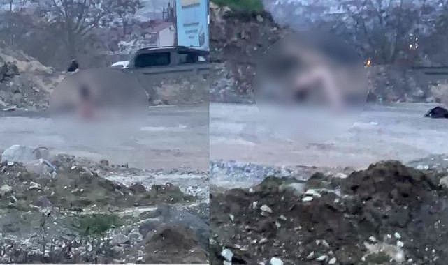 Köprü altında soyunan vatandaş ekipleri harekete geçirdi!