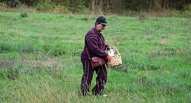 Ormanya’da mantar avı renkli görüntülere sahne oldu