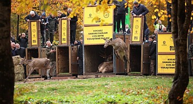 Ormanya’ya 5 milyon ziyaretçiyi ağırladı