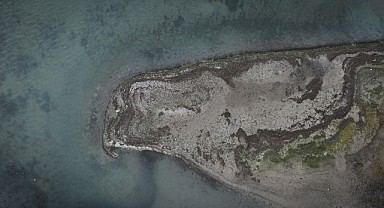 Sapanca Gölü'nde su seviyesi kritik eşiğin altına indi!