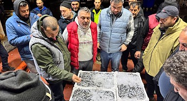 Vatandaşın tercihi hamsi oldu