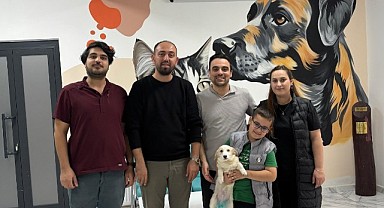 328 sokak hayvanı sahiplendirildi