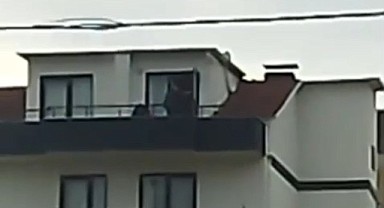 Kesinleşmiş hapis cezası bulunan FETÖ üyesi yakalandı