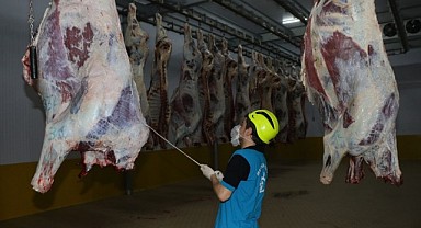 Mezbaha’da 6 bin 29 kesim gerçekleşti