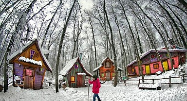 Ormanya beyaza büründü