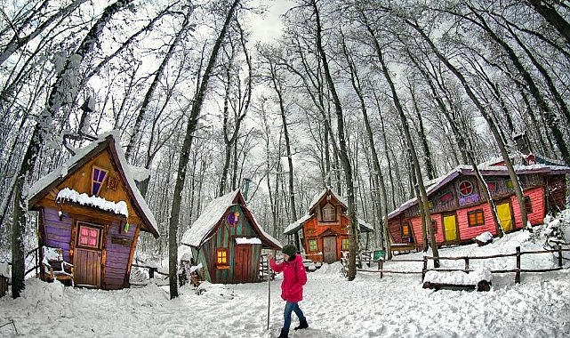 Ormanya beyaza büründü