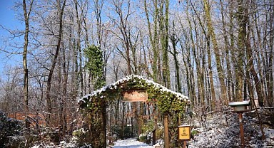 Ormanya’da kış manzaraları mest etti  